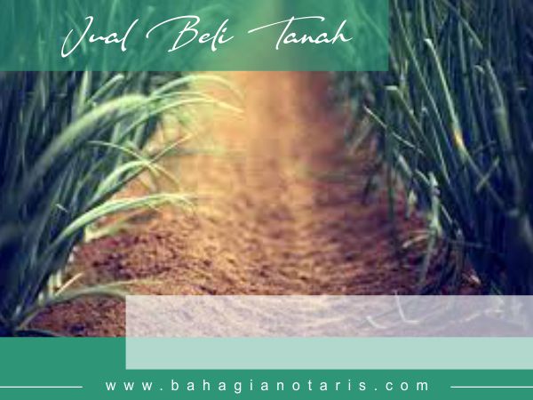 Jual Beli Tanah Jual Beli Tanah